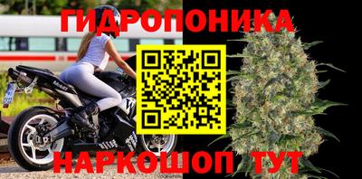 крисы Волжск
